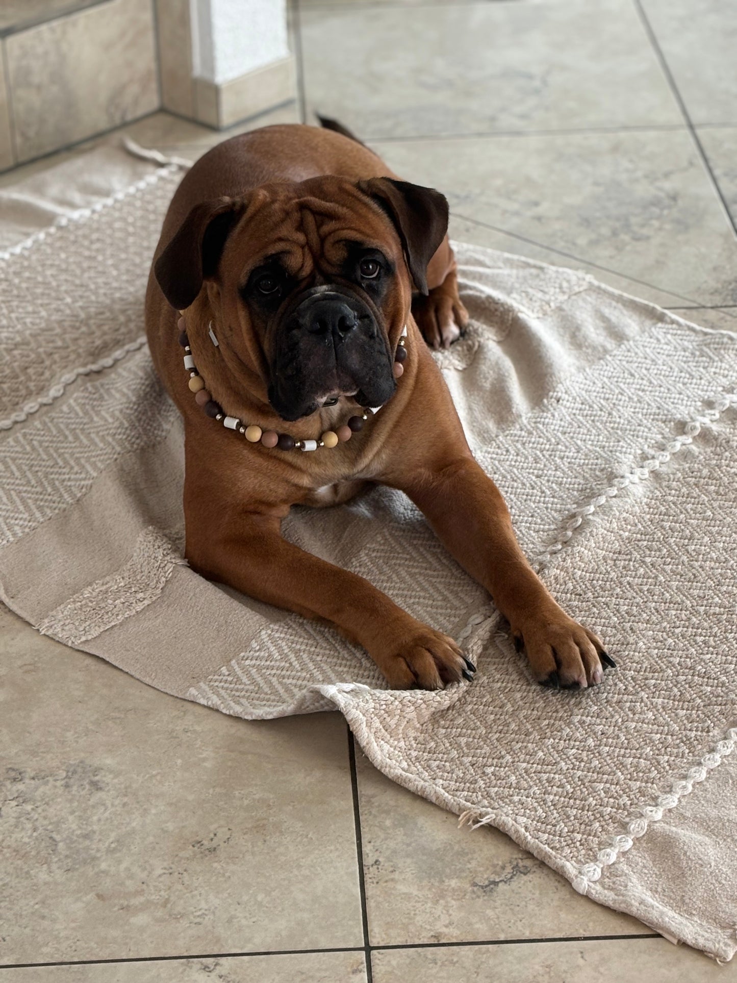 Nature Bubble EM-Keramik-Zeckenschutz-Halsband