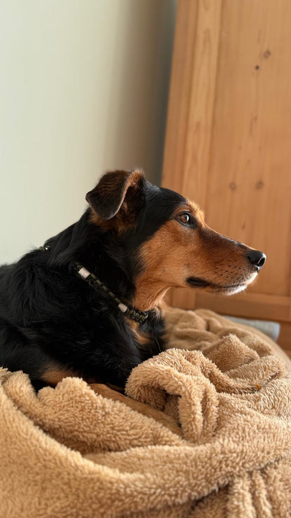 Forest Calm EM-Keramik-Zeckenschutz-Halsband